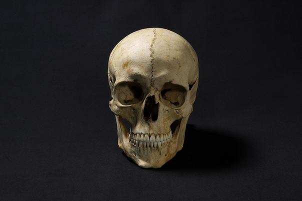 Реконструкция лица: как выглядел человек, живший 1300 лет назад 1300 лет назад в Швейцарии жил человек, останки которого обнаружили археологи в 2014г. Исследователи нарекли его Аделазием