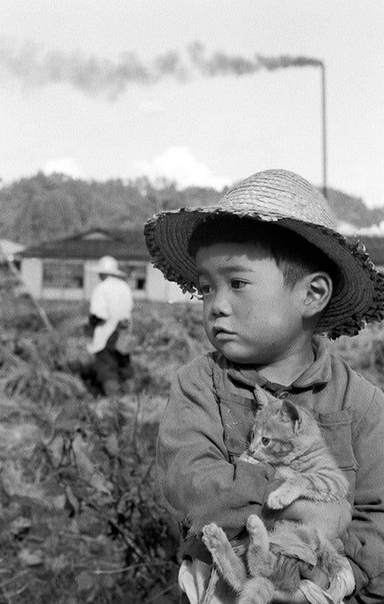 Трогательное фото мальчика в соломенной шляпе с котенком. Япония, 1956 год