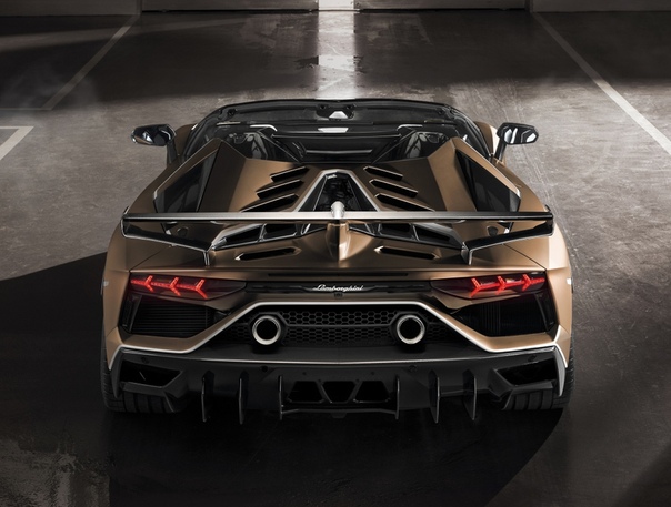 Очень редкие : Lamborghini Aventador SVJ Roadster 2019 Двигатель: 6.5 V12 Атмо Мощность: 770 л.с. Крутящий момент: 720 Нм Коробка: 7 ступ. «робот» Макс. скорость: 350 км/ч Разгон до 100 км/ч: