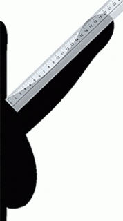 Измерение длины полового члена 34