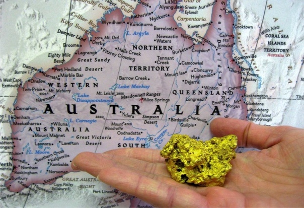 В Австралии обнаружены грибы, которые питаются золотом Времена золотой лихорадки в Австралии давно прошли, но страна по-прежнему обладает значительными запасами драгоценного металла и входит в