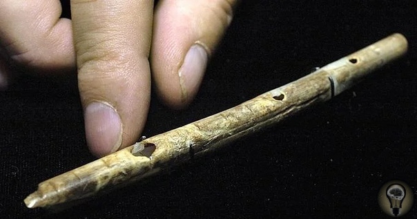 О древних флейтах возрастом более 31 000 лет, найденных в пещере Холе-Фельс на территории Германии Археологи обнаружили на территории Германии четыре древние флейты. В ходе исследования находок